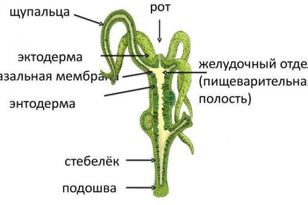 Кракен ссылка онлайн