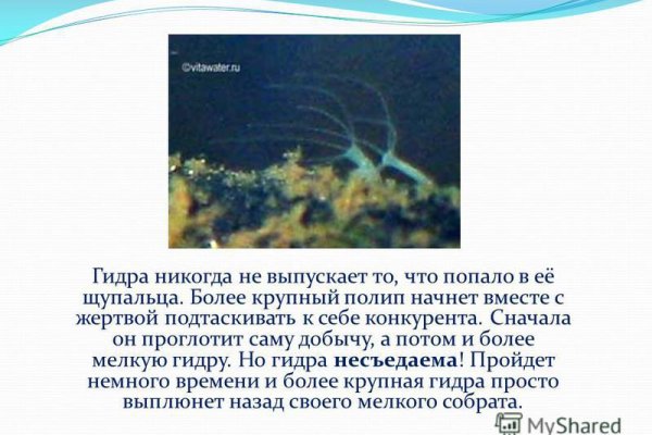 Kraken darknet зеркала