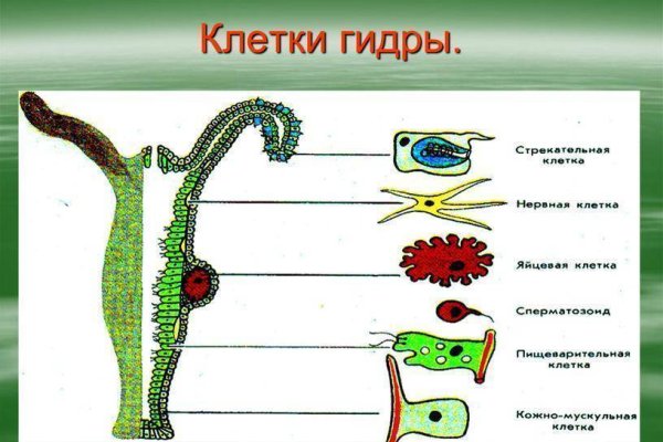 Где купить наркотиков