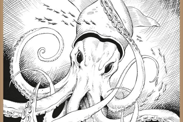 Кракен актуальная ссылка kraken torion net