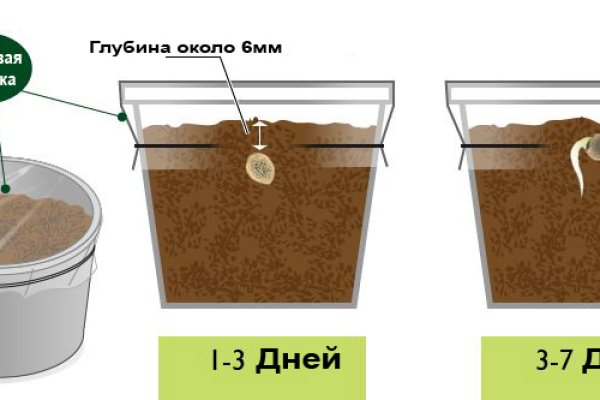 Сайты даркнета