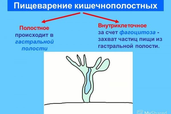 Ссылка на сайт гидра в тор браузере