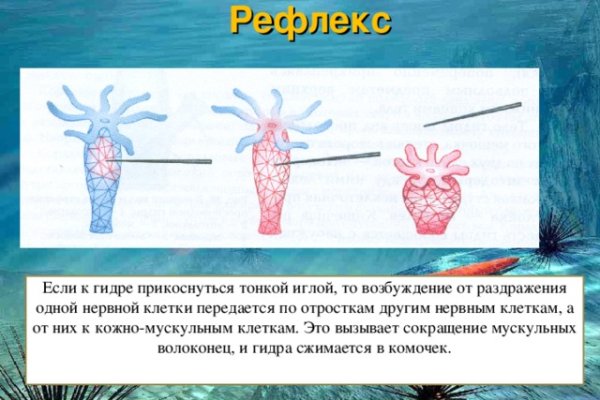 Kraken darknet market ссылка