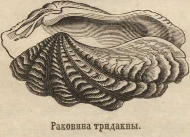 Магазин kraken даркнет